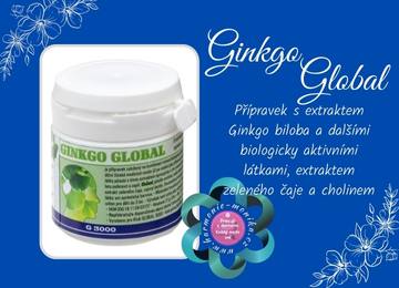 Ginkgo global 3000